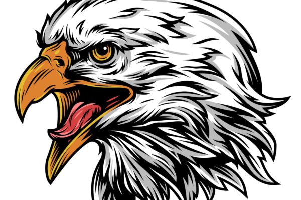 Vintage eagle head mascot colorful concept on white background isolated vector illustration